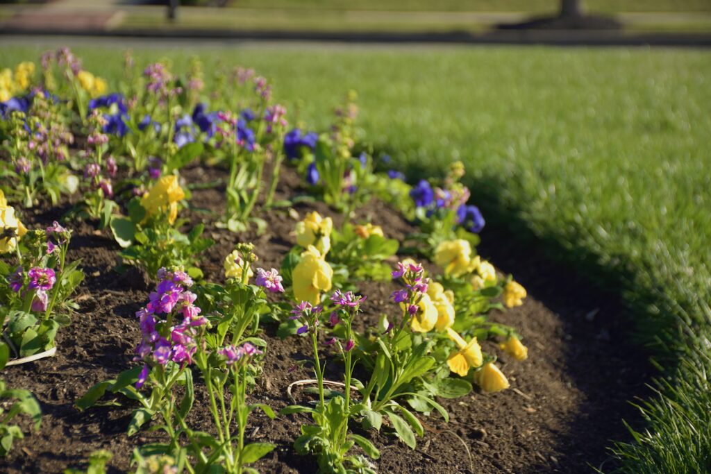 Evansville Flower Installation